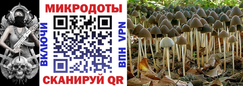 Псилоцибиновые грибы GOLDEN TEACHER  KRAKEN зеркало  Воткинск  где купить наркоту 