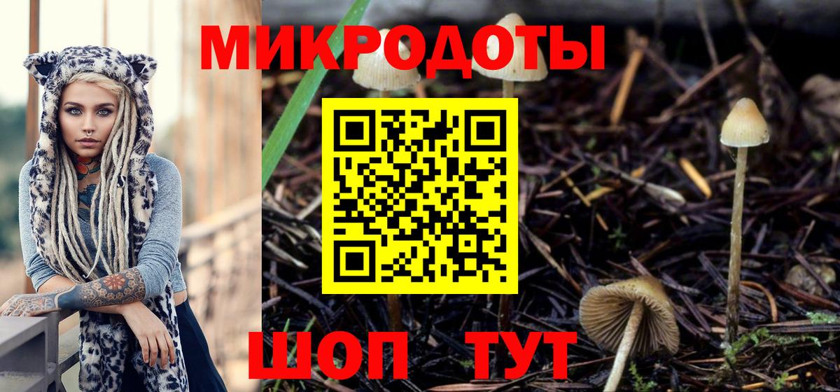Воткинск  Галлюциногенные грибы Psilocybe  Галлюциногенные грибы ЛСД  Вход с VPN 