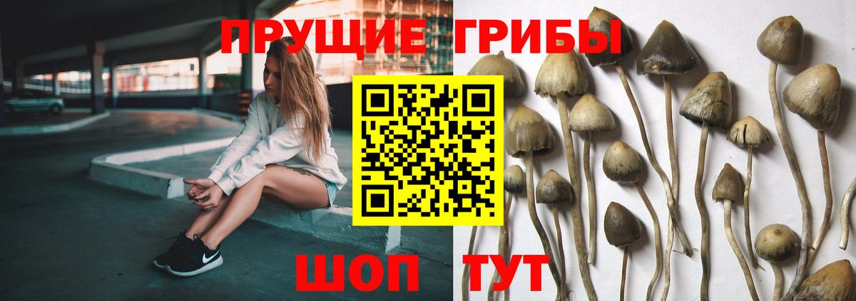 Псилоцибиновые грибы мухоморы Воткинск